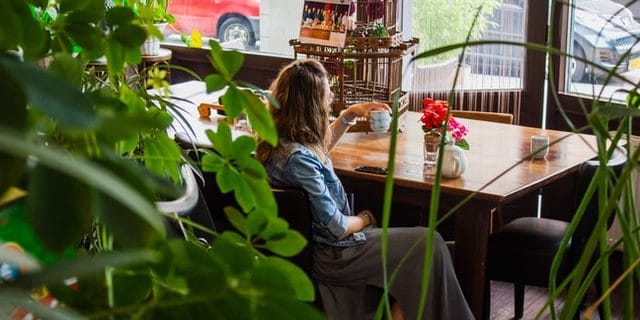 5 THINGS TO LOOK FOR IN ALCOHOL REHAB IN FLORIDA - Harmony Health Group, LLC 5 Things to Look for in Alcohol Rehab in Florida