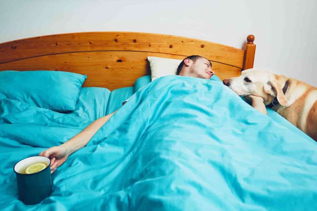 Man Detoxing From Alcohol In Bed